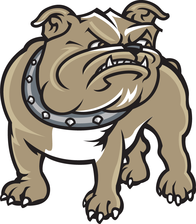 Bryant Bulldogs 2005-Pres Alternate Logo diy fabric transfer